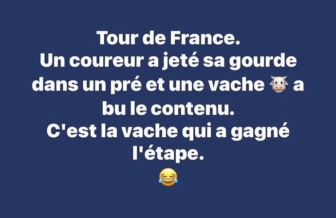la vache