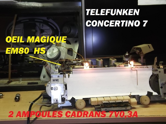 t11