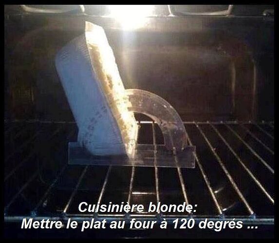 la-blonde-fait-un-four
