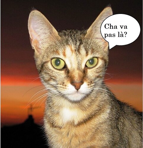 Cha va ps là.
