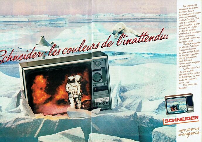 Schneider 1981