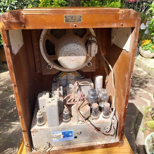 431111729_1446277122639486_607464361701472009_n