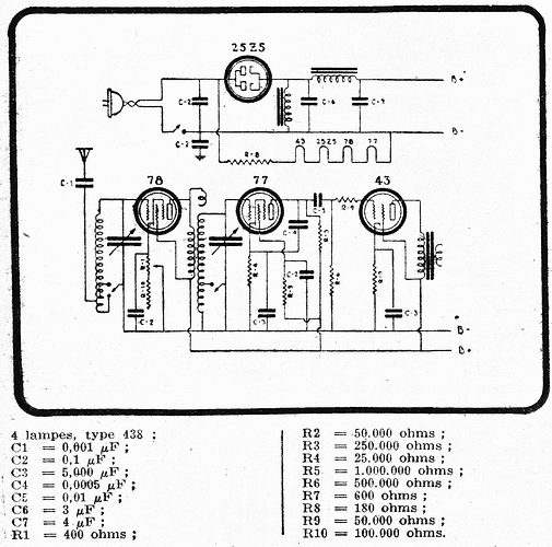 sch-pygmy-438