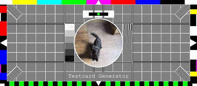 Testcard