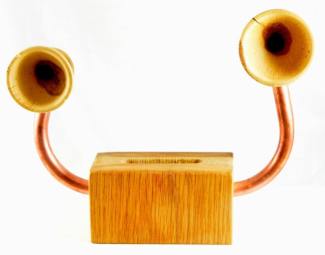 enceinte-bois-4