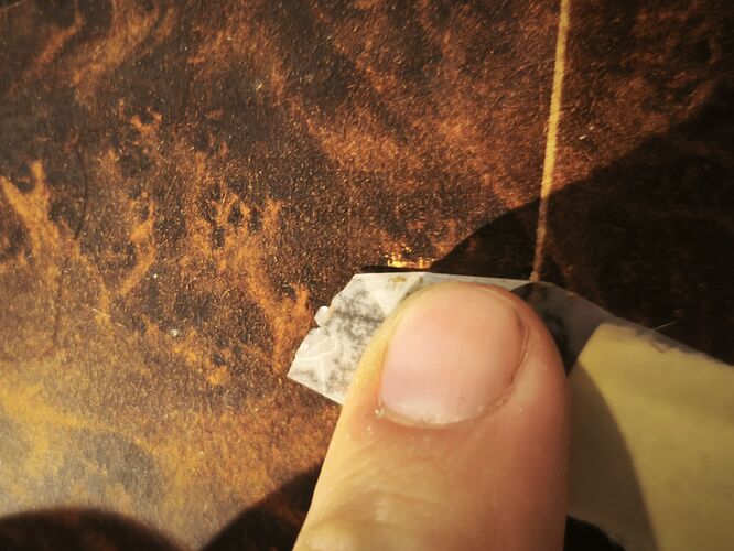 c1_20260407_19491083