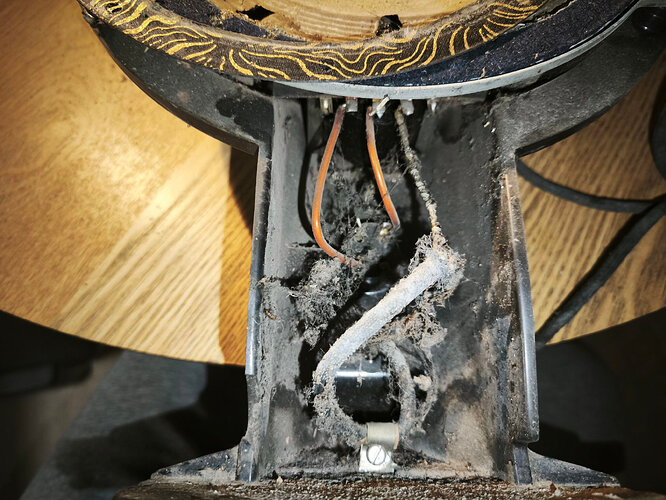 c1_20260407_19491238