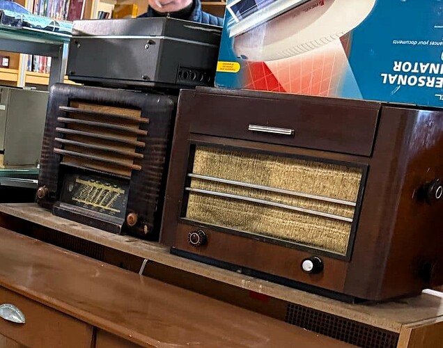 Luxpuces du 21-02-2025 les radios