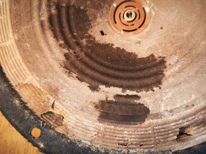 c1_20260407_19491893