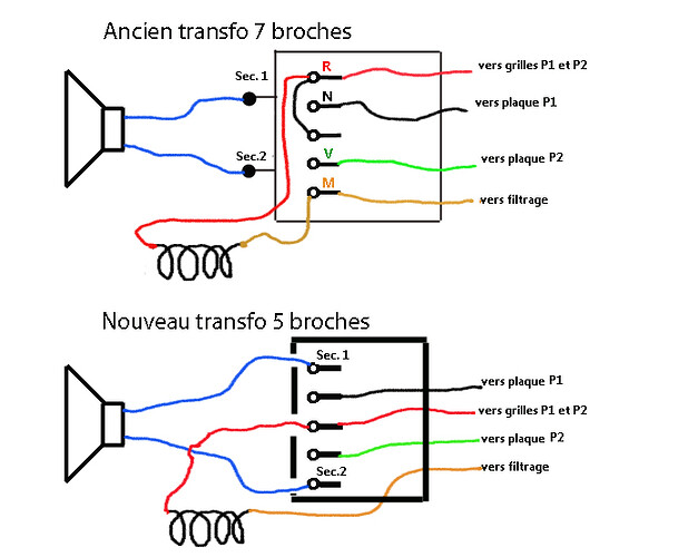 connex Trans sortie