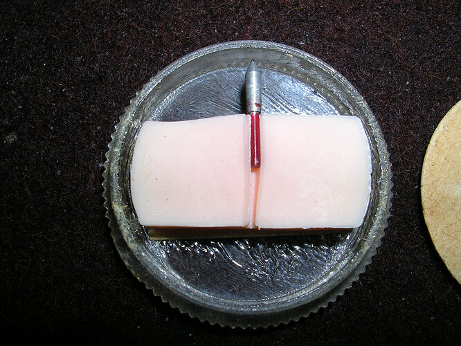 DSCN5207