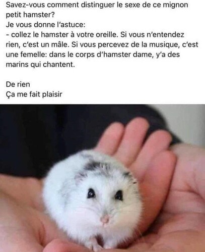 FB_IMG_1741163566013