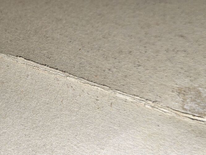 c1_20260121_20541647