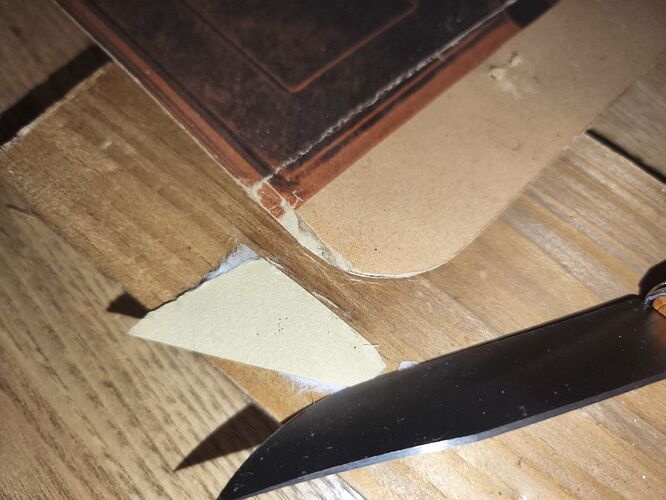 c1_20260121_20541542