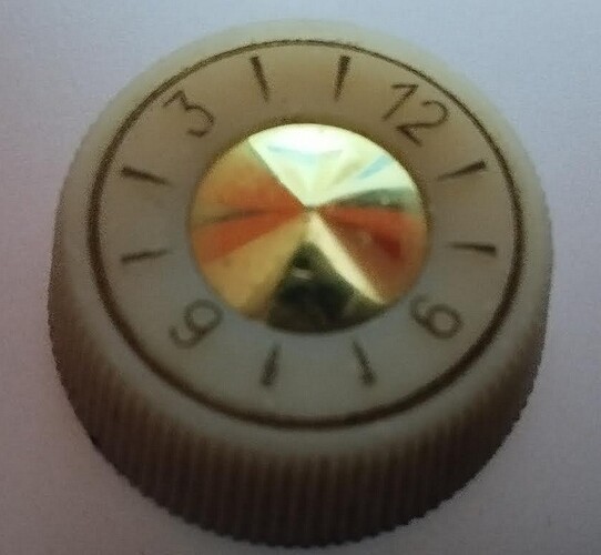 bouton robert1