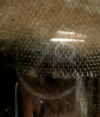 20250131_000407