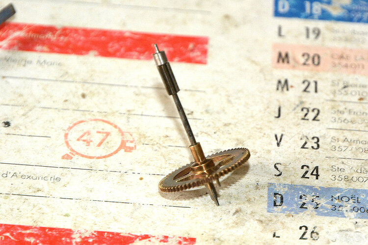 DSC_5754_redimensionner