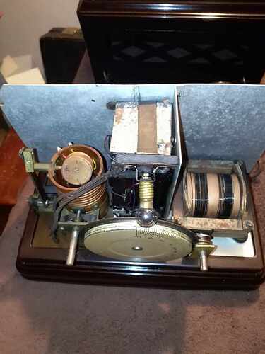 385537087_317920891139644_7959984047845296668_n