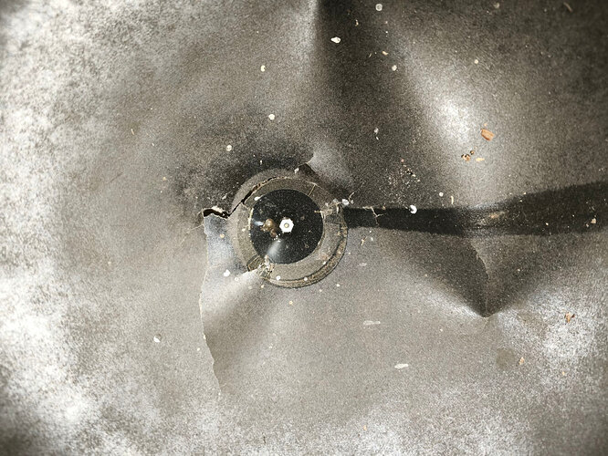 c1_20260409_21193986