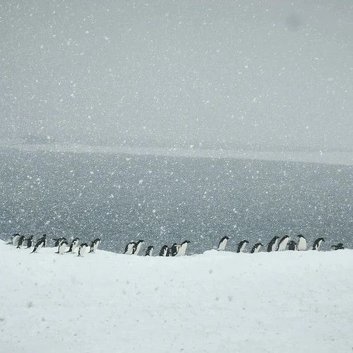 IMG_20241222_024818_628