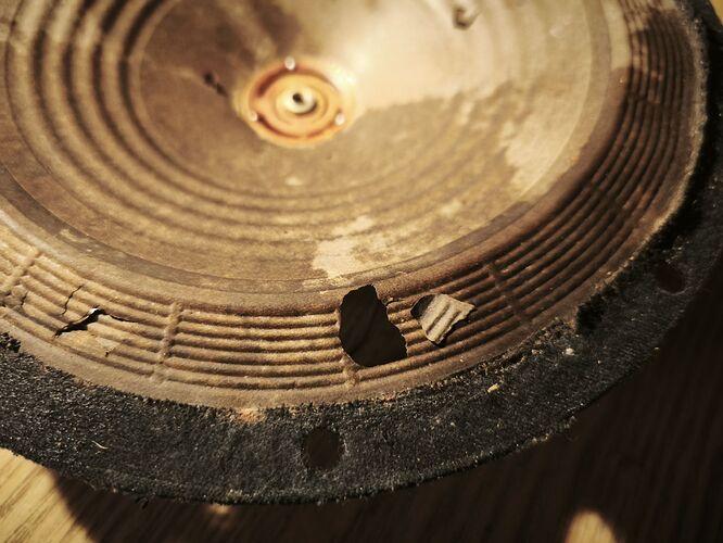 c1_20260407_19491935