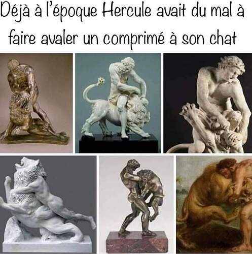 FB_IMG_1728421548559