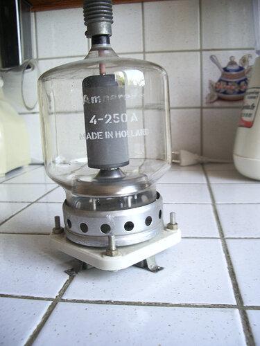 IMGP6514