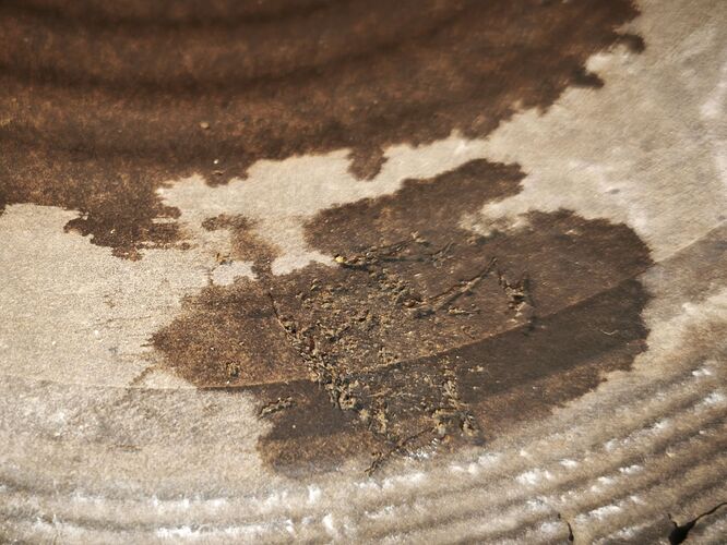 c1_20260407_19491873