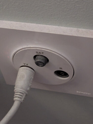 PXL_20251018_053323829