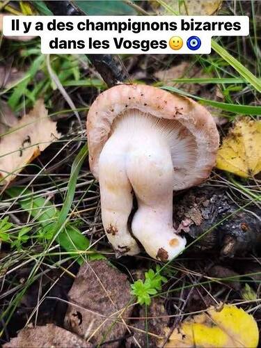 546766572_122241235460245495_7698000698290681207_n