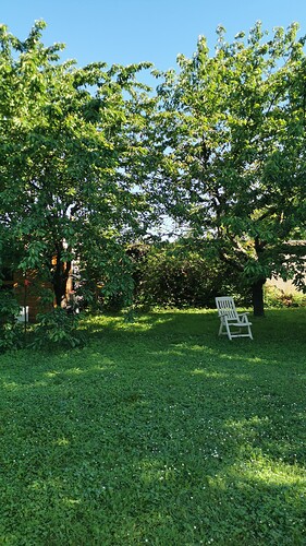 IMG-20240519-WA0000