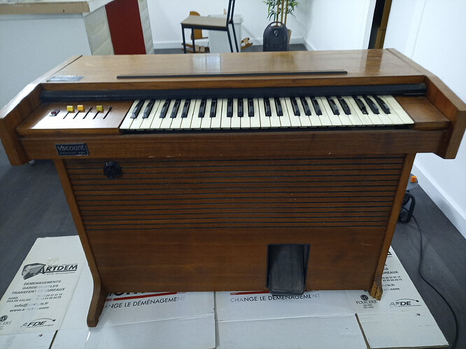 organ1