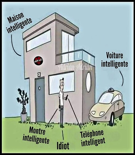 FB_IMG_1738604574443