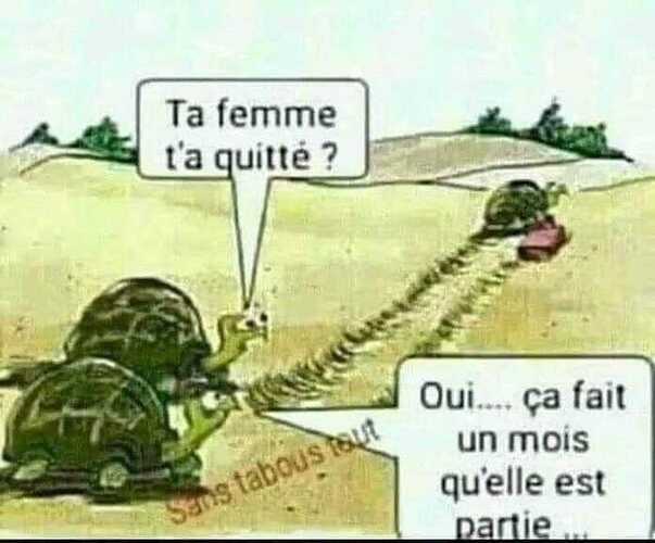 Humour