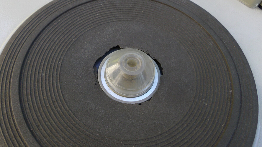 IMGP8675