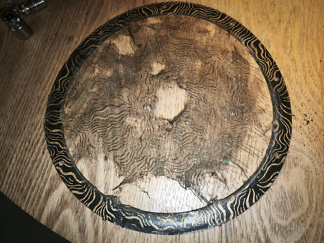 c1_20260407_19491285