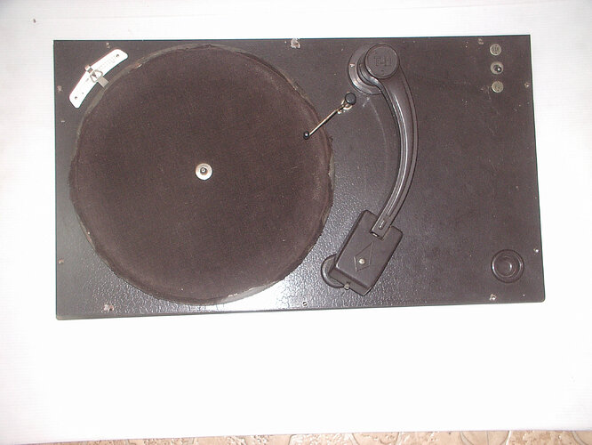 IMGP5550