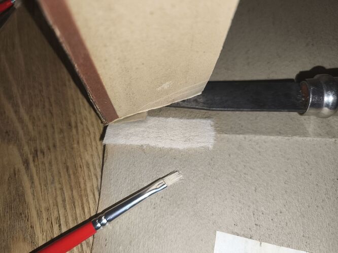 c1_20260121_20541676