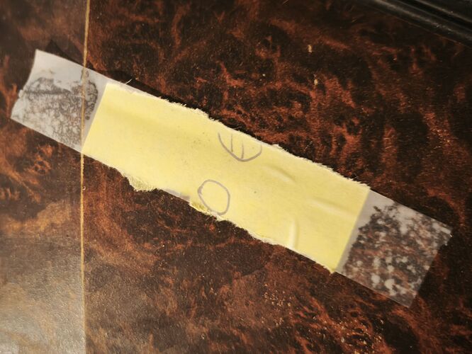 c1_20260407_19491066