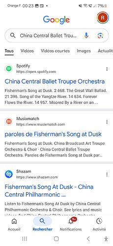 Screenshot_20250529_002336_Google