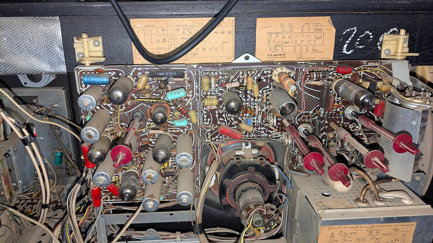 PXL_20251023_125604421.RAW-01.COVER