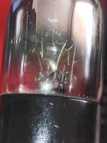 473367369_570359062544421_4935341646399318809_n