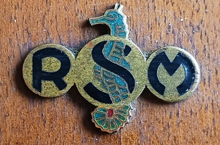 logo_RSM