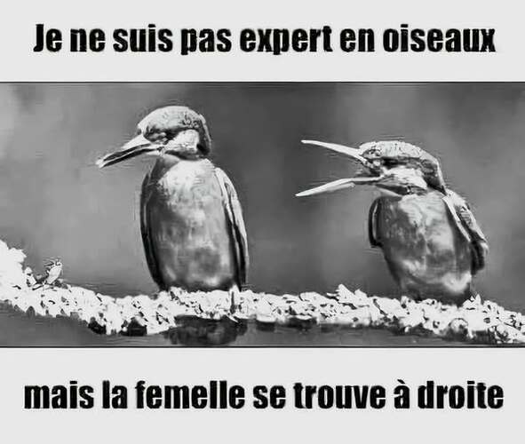 544618279_18291267538254243_6254984977365511450_n