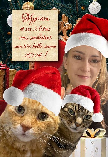 voeux2024chats