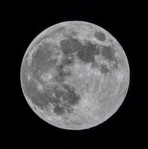 Lune 2024 11 15_7166