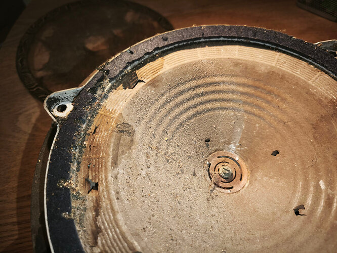 c1_20260407_19491338