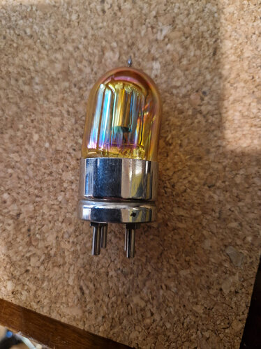 TM micro mordorée_2