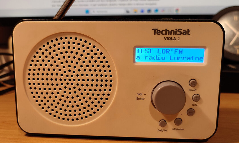 Technisat Viola 2 - le display