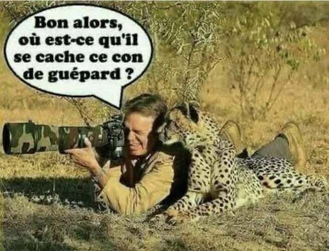 661702519_10167757739674569_6250761921981471036_n